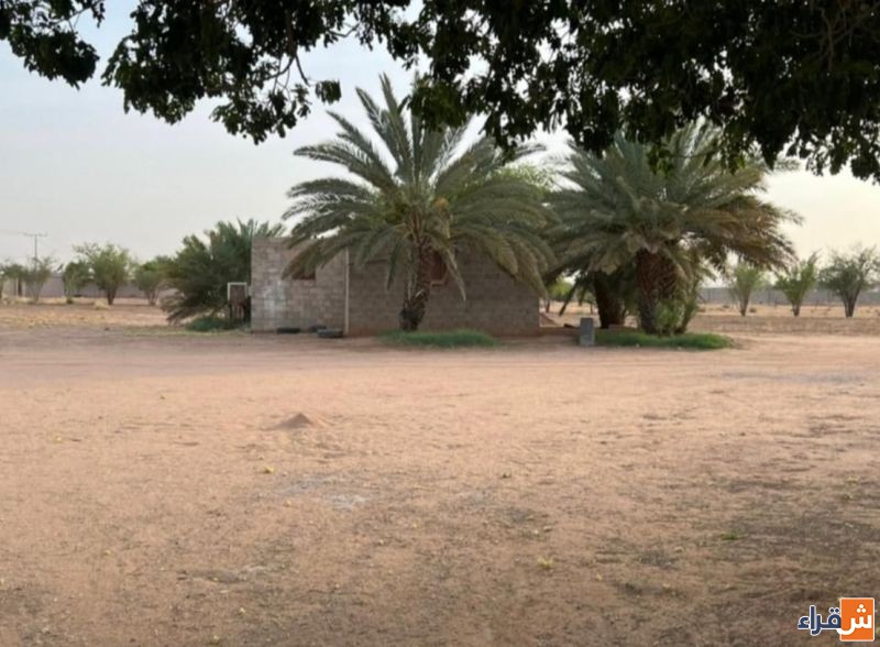 مزرعة للبيع في المسمى