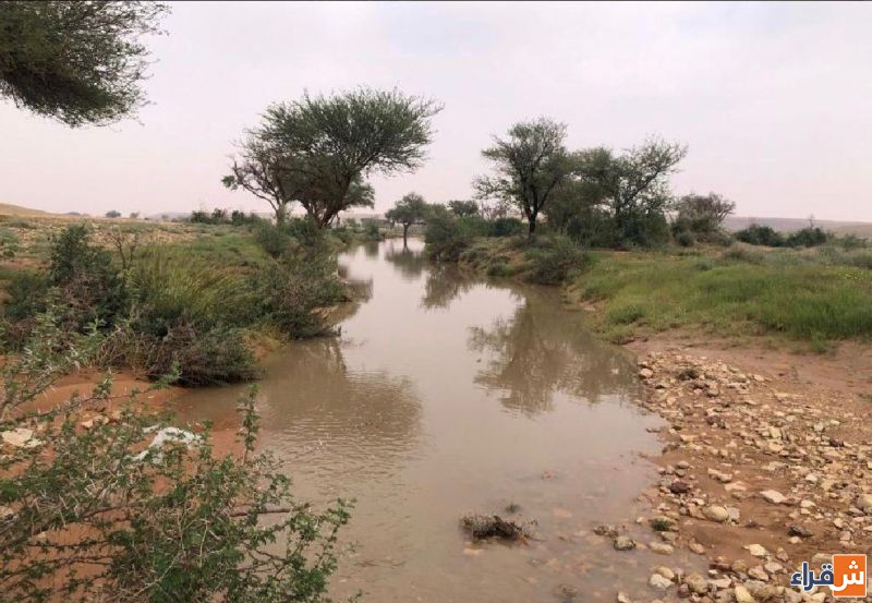 "الغطاء النباتي": يستخدم تقنيات "حصاد مياه الأمطار" لتأهيل مئات آلاف الهكتارات من الأراضي المتدهورة حول المملكة