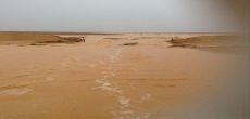 أمطار غزيرة على محافظة شقراء والدفاع المدني يغلق طريق الحريَق القصب 
