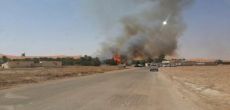 حريق يلتهم أحد مزارع النخيل بالمشاش