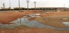 مستنقعات الصرف الصحي تخنق سكان حي الأندلس وتنشر الحشرات 
