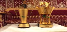 الخيل مرشال للمالك عبدالله يوسف الحميدي تحقق كأس الملك في محافظة العلا