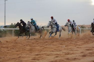 بحضور رئيس مركز القصب..وجمهور من محبي الفروسية بلدية القصب تنظم سباق المراثون الأصيل الثالث في ميدانها تحت إشراف الاتحاد السعودى للفروسية