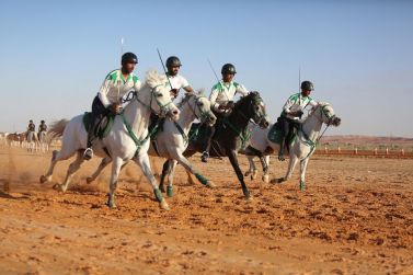 بطولة كأس الاتحاد السعودي للفروسية في التقاط الأوتاد،