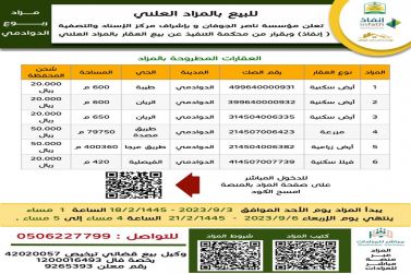مزاد ربوع الدوادمي الكتروني