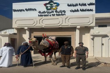 الرحالة السلمي يصل محافظة شقراء عبر رحلته التراثية